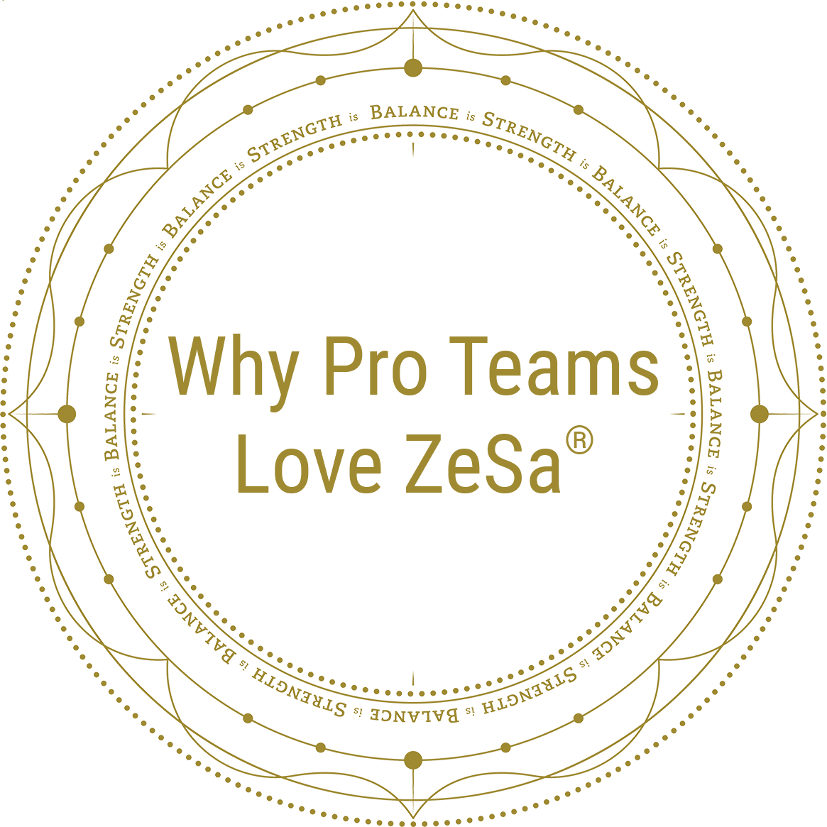 Why Pro Teams Love ZeSa®