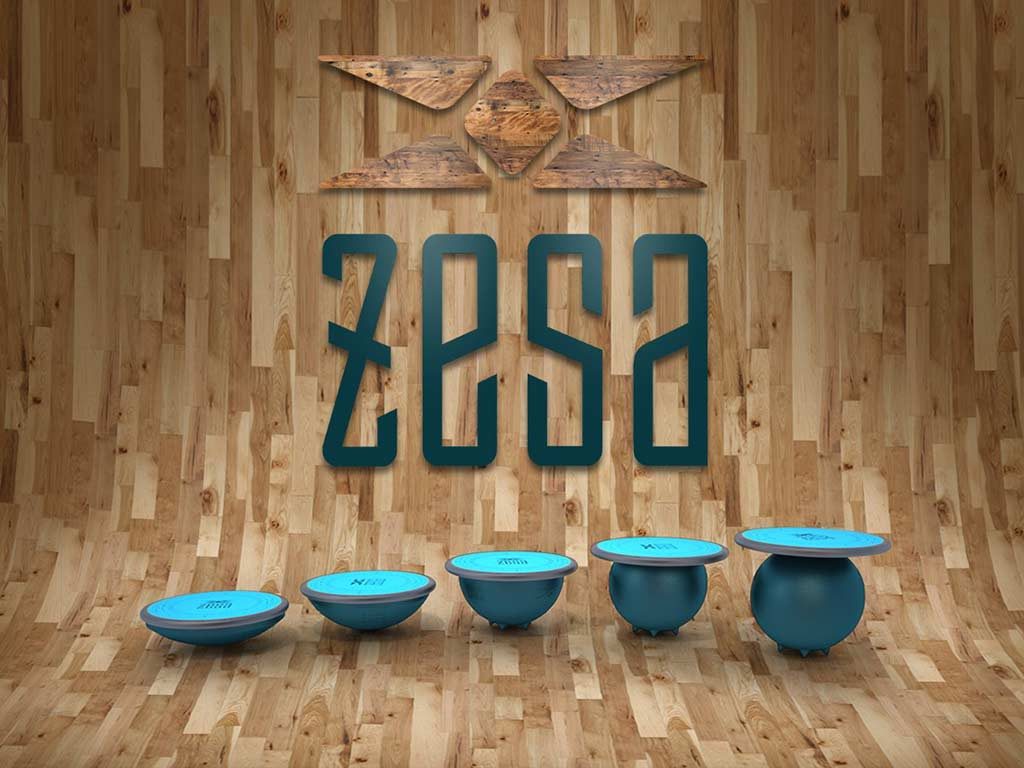 ZeSa Fitness
