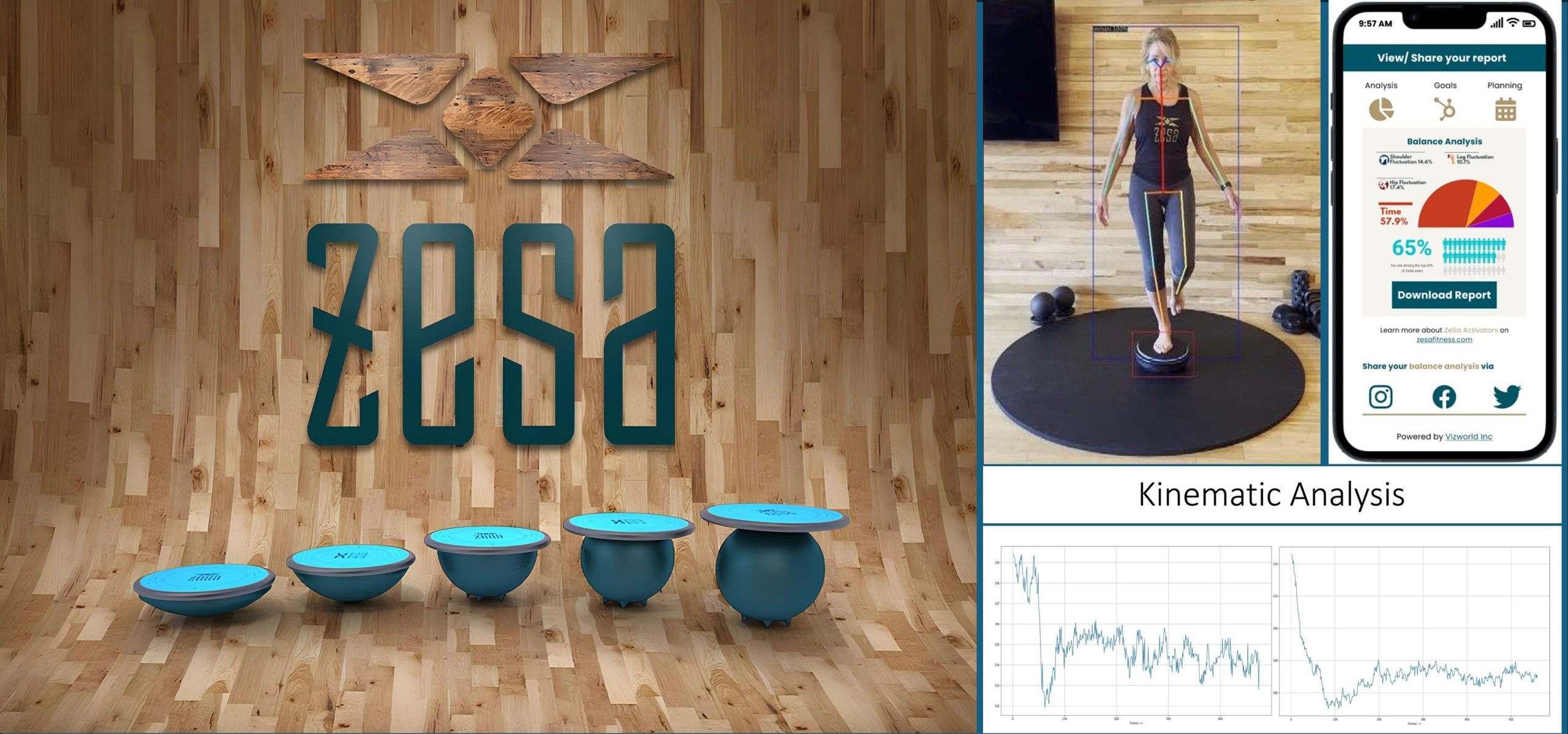 Zesa Products